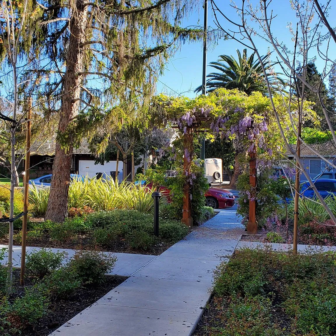 3 bed, 1503 sqft, $5,650 — Photo 4