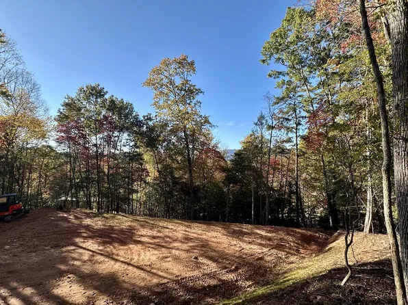 Sawyer Ridge Ln, Hayesville, NC 28904