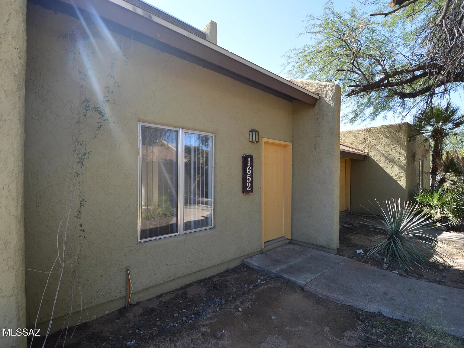 1 bed, 1.0 bath, 600 sqft, $800 — Photo 2