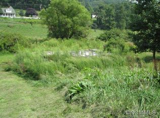 Tbd Curtis Creek Rd, Candler, NC 28715