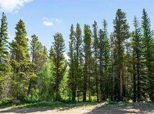 112 Deer Rd, Idaho Springs, CO 80452