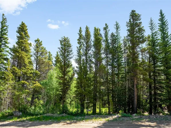 112 Deer Road, Idaho Springs, CO 80452