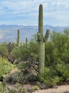 750 N Avenida Aguila #0, Tucson, AZ, 85748