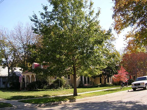 East view 917 Egan St.