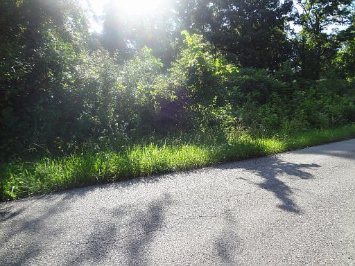 1st image of Shady Ln
