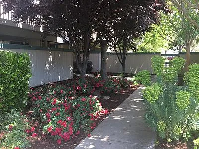 Live Oak Apartments — Photo 121
