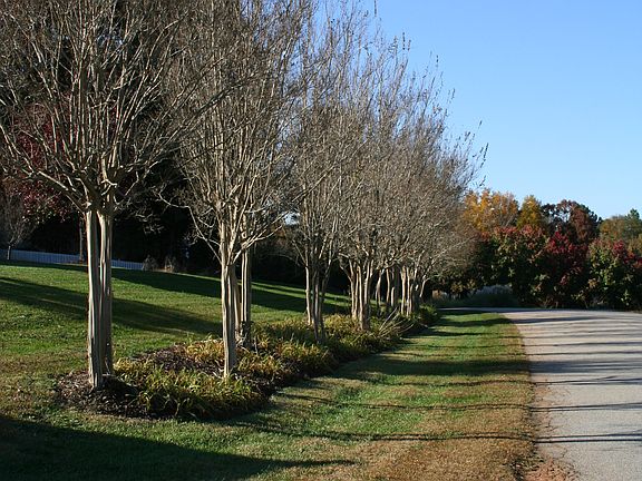 Lake Robinson Pointe 