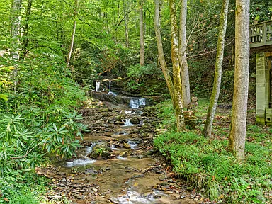 Property photo 41