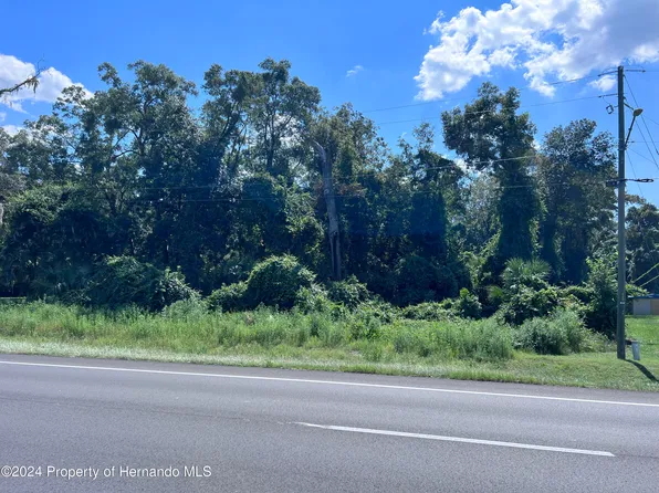 0 Us Highway 19 St, Trenton, FL 32693