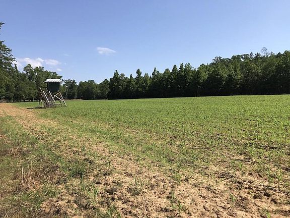 17 acre Food Plot With Elevated Shooting House on +/-80 Acre Kemper County, MS Hunting and Recreational Property With Custom Cabin and Pond