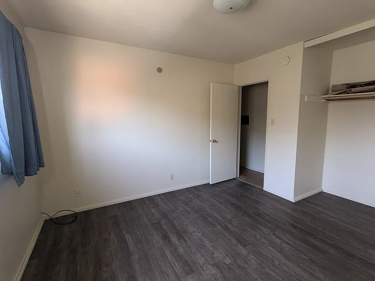 821 Olive Ave #6 — Photo 14