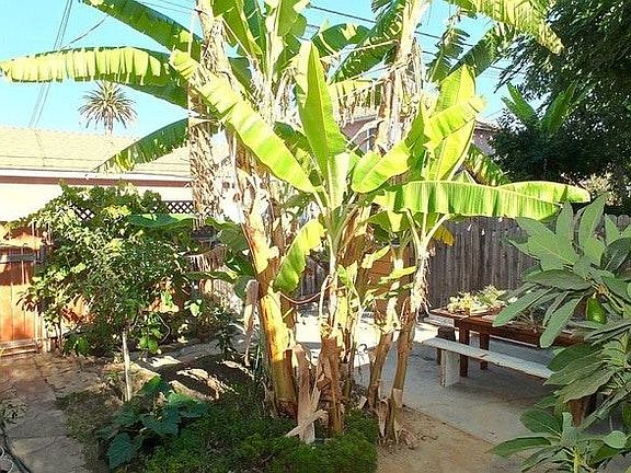 Side yard for rental unit's use