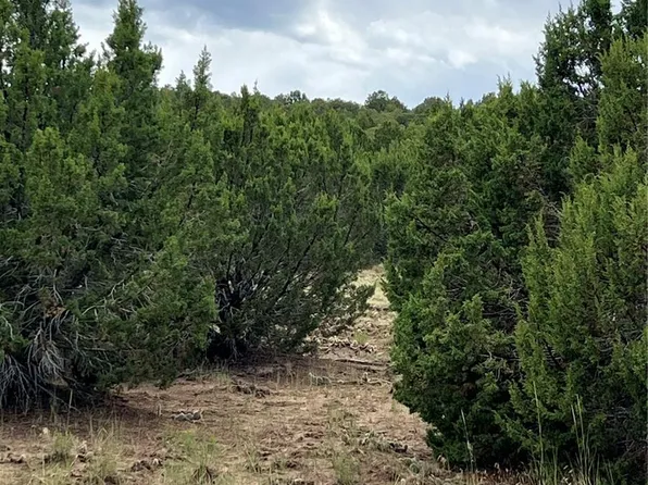 Sunrise Road LOT 80, Walsenburg, CO 81089