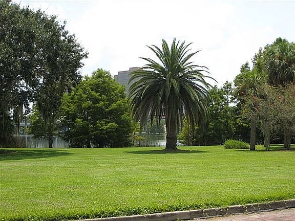 LAKE IVANHOE VIEW