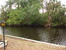 Canal view from back of home