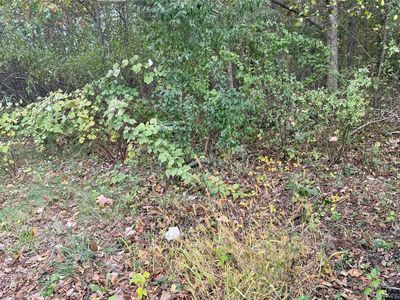 0 Phoenix Avenue, Pt Jefferson Station, NY, 11776