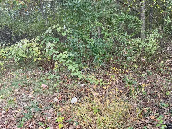 0 Phoenix Avenue, Port Jefferson Station, NY 11776