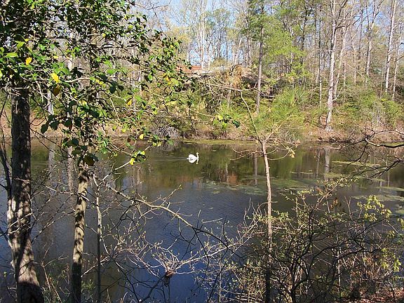 5th image of 109 Falling Creek Cir