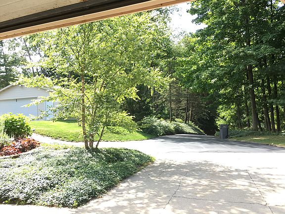 View from the garage