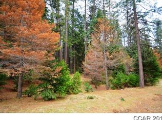 1348 Incline Way, Arnold, CA 95223