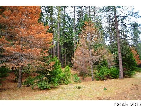 1348 Incline Way photo 1