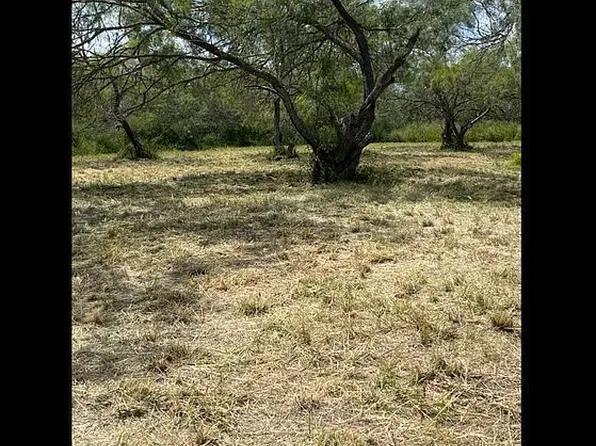 226 E Fm 771, Riviera, TX 78379