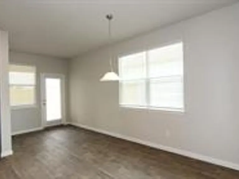 392 Fall Aster Dr — Photo 7