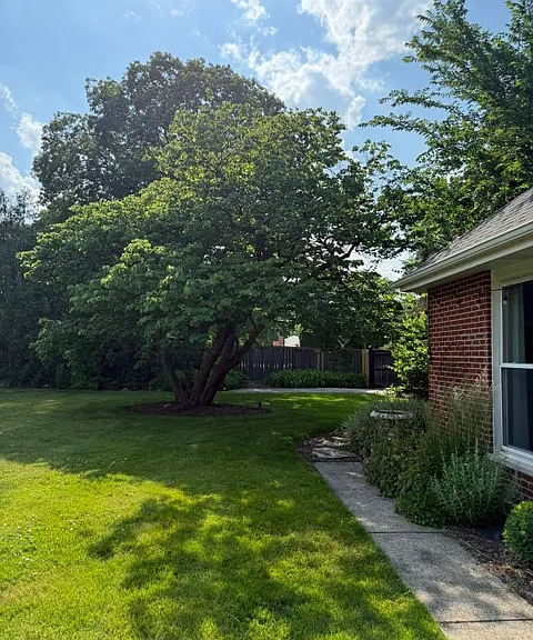 125 W Naperville Rd — Photo 15