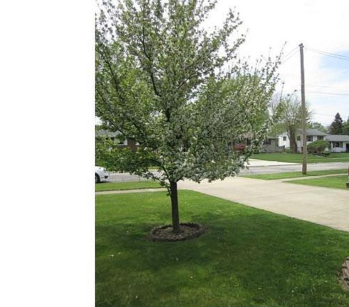 2nd image of 3728 Woodstock Dr