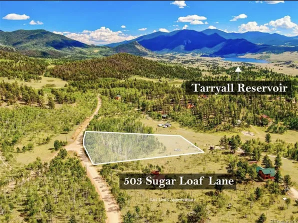 503 Sugar Loaf Ln, Jefferson, CO 80456