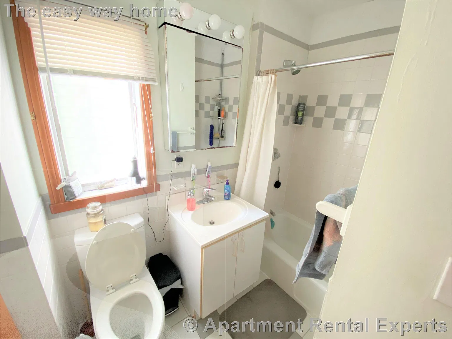2 bed, 800 sqft, $3,200 — Photo 3