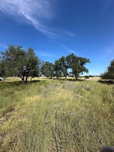 123 Lipan Loop, Harper, TX, 78631