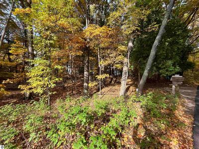 7 Beach Rd, Frankfort, MI, 49635