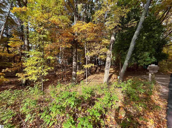 7 Beach Rd, Frankfort, MI 49635