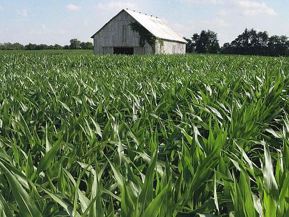 20140813095905333_0001