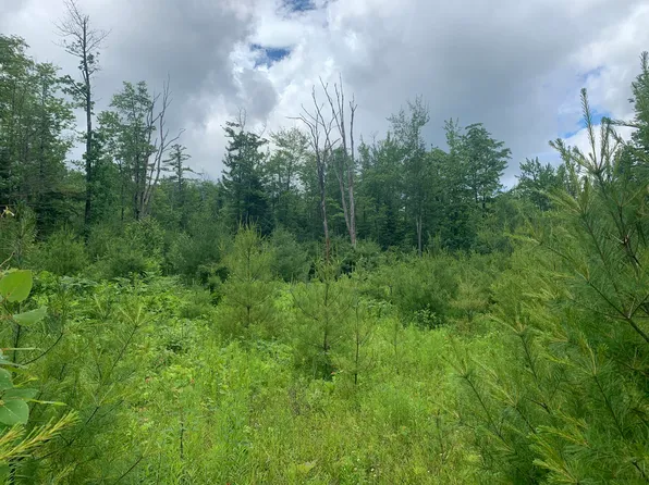 15 Bridgton Road, Sweden, ME 04040