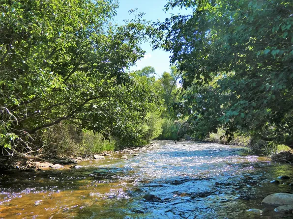 1115 Little River Ln, Poncha Springs, CO 81242