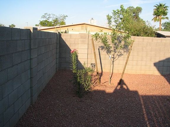 Back Yard Landscape