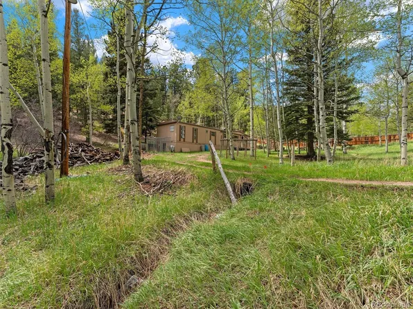714 N Pine Drive, Bailey, CO 80421