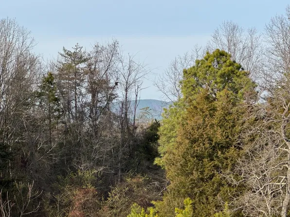 0 Watt Abbitt Rd, Appomattox, VA 24522