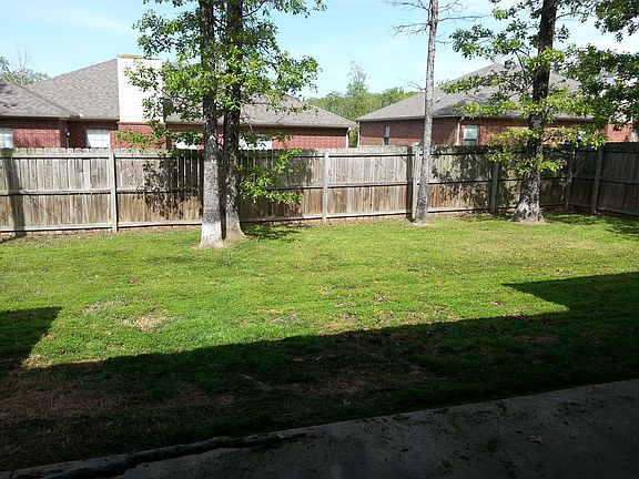 back yard