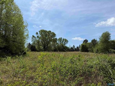 24 County Road 140, Town Creek, AL, 35672