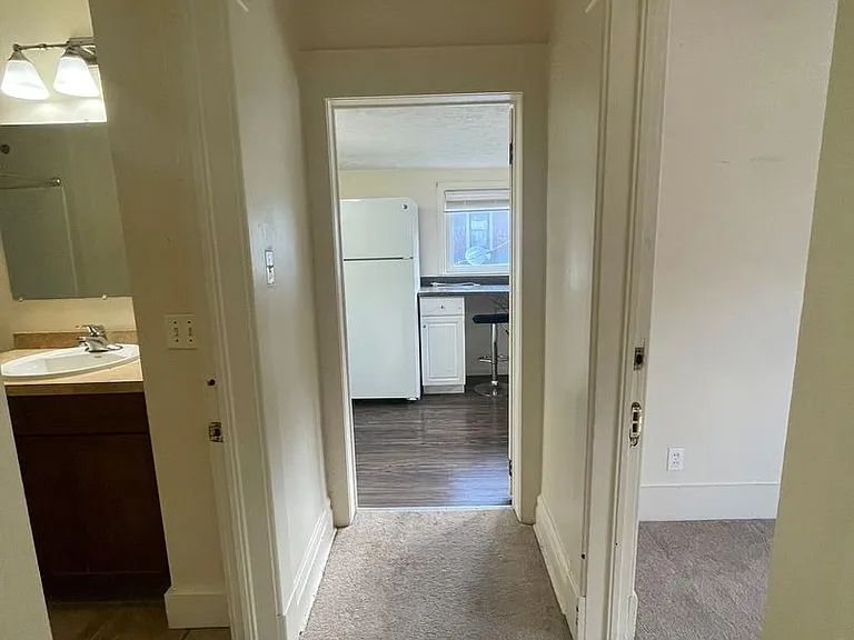 1121 Packard St — Photo 27