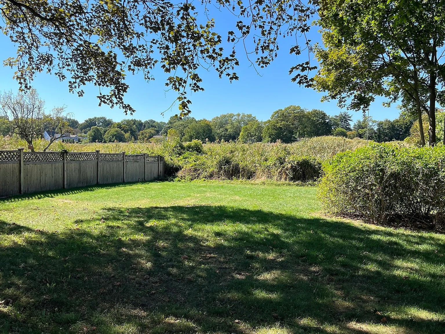 3 bed, 1.5 bath, 1040 sqft, $3,100 — Photo 2
