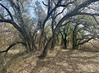 TRACT 6 State Highway 377, Olden, TX 76466