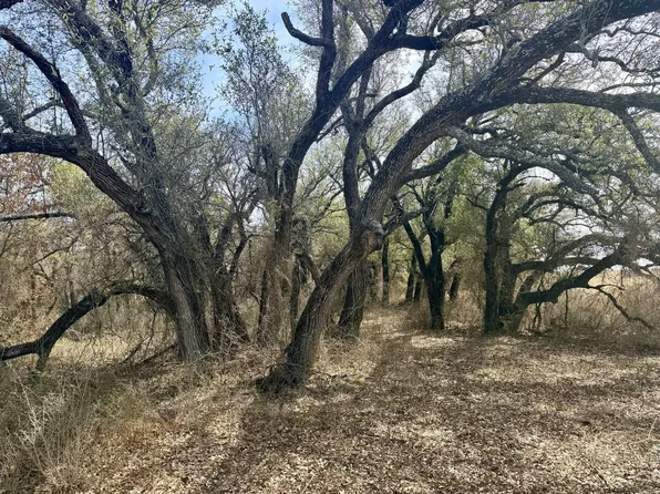 TRACT 6 State Highway 377, Olden, TX 76466