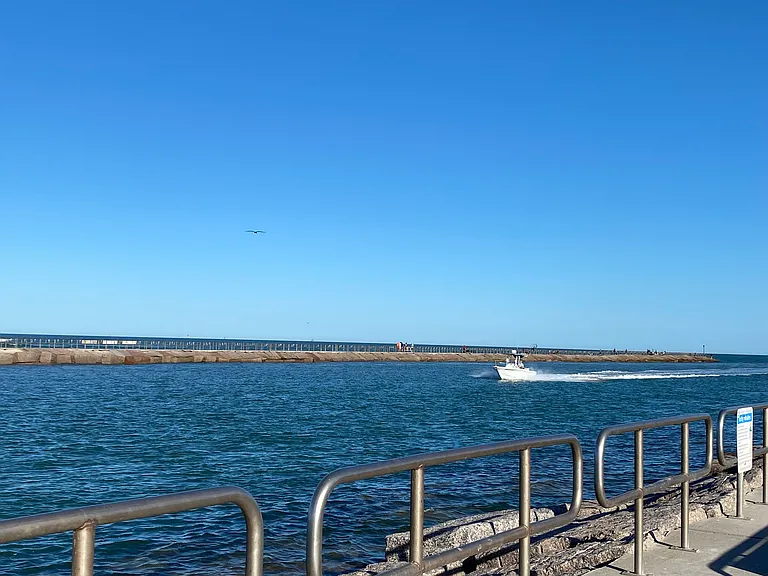 The packery channel a great area to fish and see sea turtles