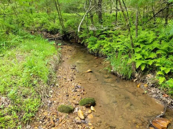 Tbd4 Shortcut Rd, Woolwine, VA 24185