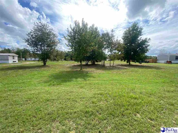 Lulaways Ct Lot 3, Lamar, SC 29069