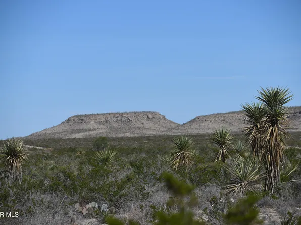 T #B-d, Fort Hancock, TX 79839